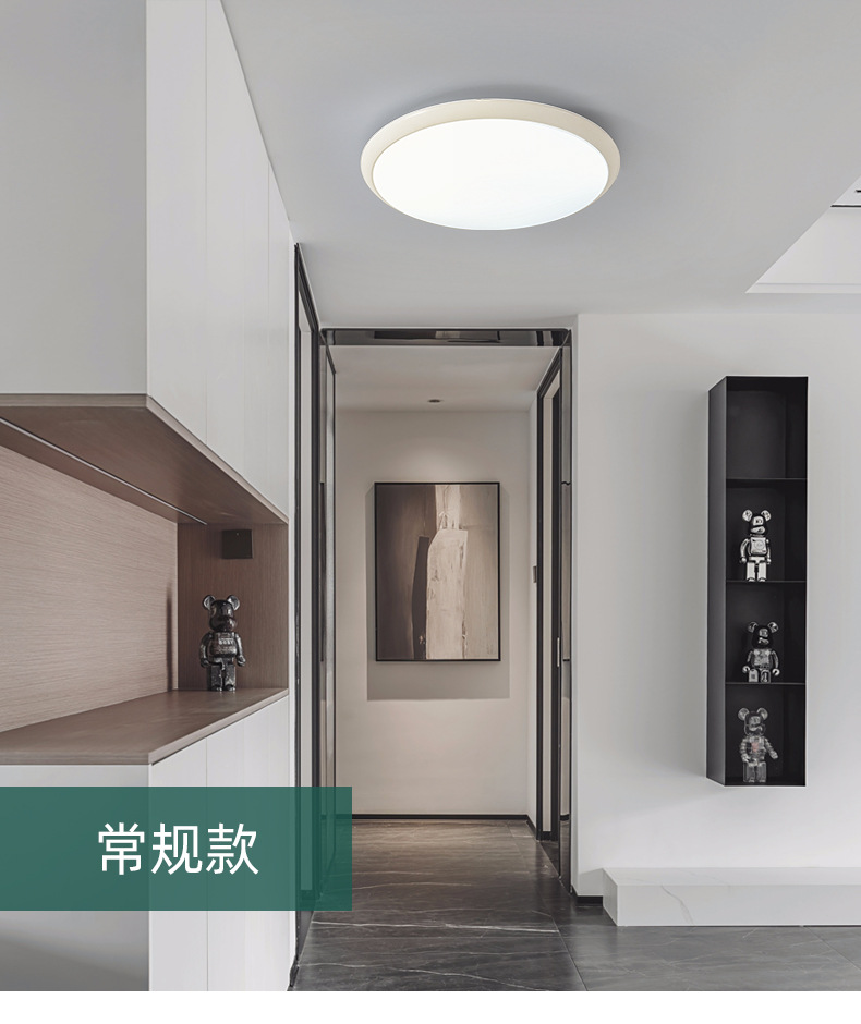 【严选】过道灯走廊灯led三防阳台吸顶灯现代简约家用浴室厨房灯详情16