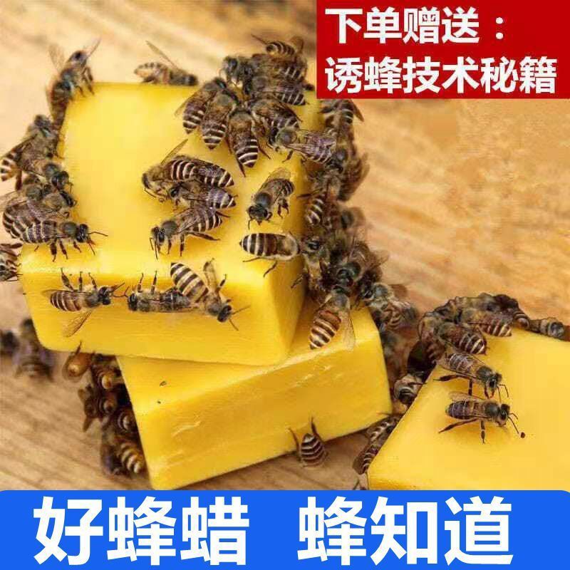 蜂蜡野外诱招蜂蜡引蜂诱蜂水野蜂蜜蜂蜡养蜂诱亚马逊代发厂家批发