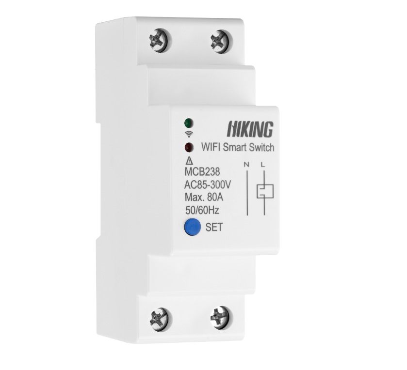 Ammeter details Picture