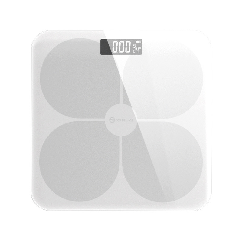 import白底实物图