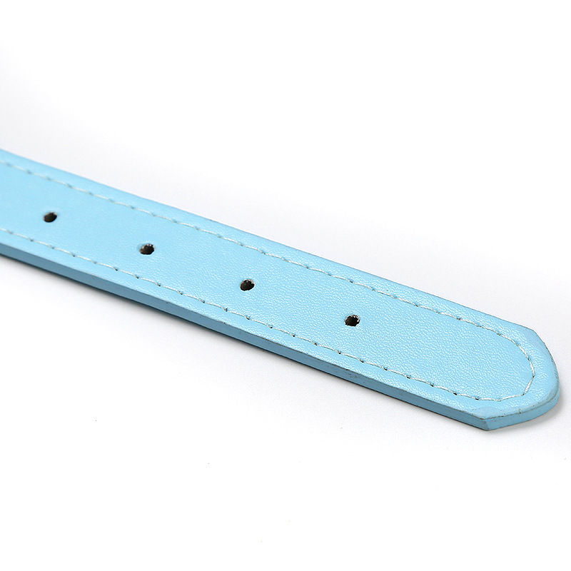 Manufacturers Wholesale Spot Pu Skin Dog Collar Large And Medium-Sized Pet Supplies Bone Accessories Collar Multi-Color Pet Collar Application Scenario
