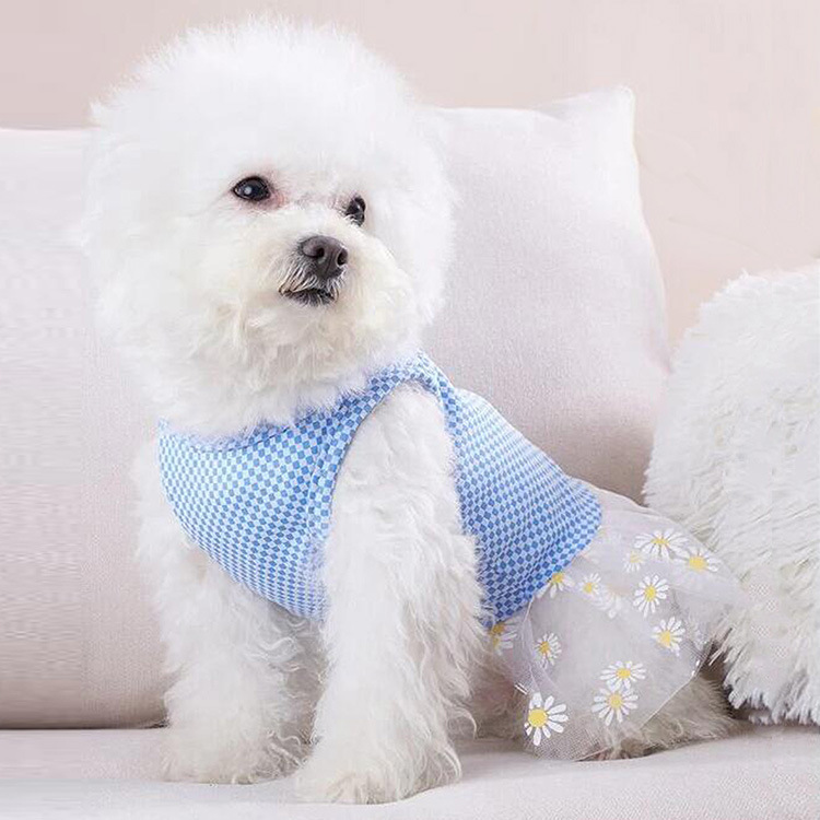 Season 4 universal Bichon Frise Teddy pet chiffon skirt, Yorkshire Schnauzer small dog clothing, pet clothing details Picture