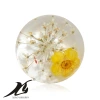 Xiaoyi jewelry Accessories, creative and fashionable built-in dried flower round resin diamond, Japanese and Korean style accessories wholesale Item Picture