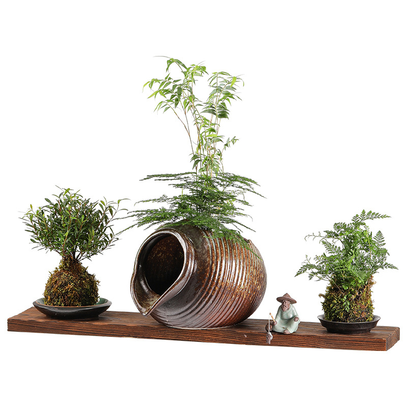 手办摆件/绿植装饰品白底实物图