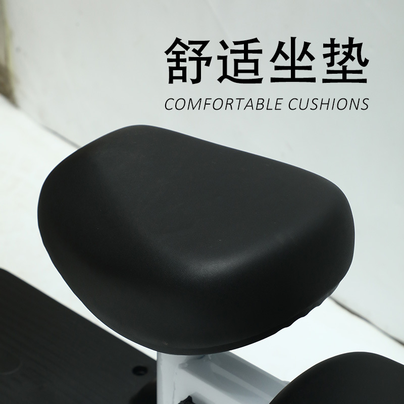 The New Electric Car Small New National Standard Electric Bicycle Yadi Emma The Same Tram Parent-Child Walking Battery Car Application Scenario