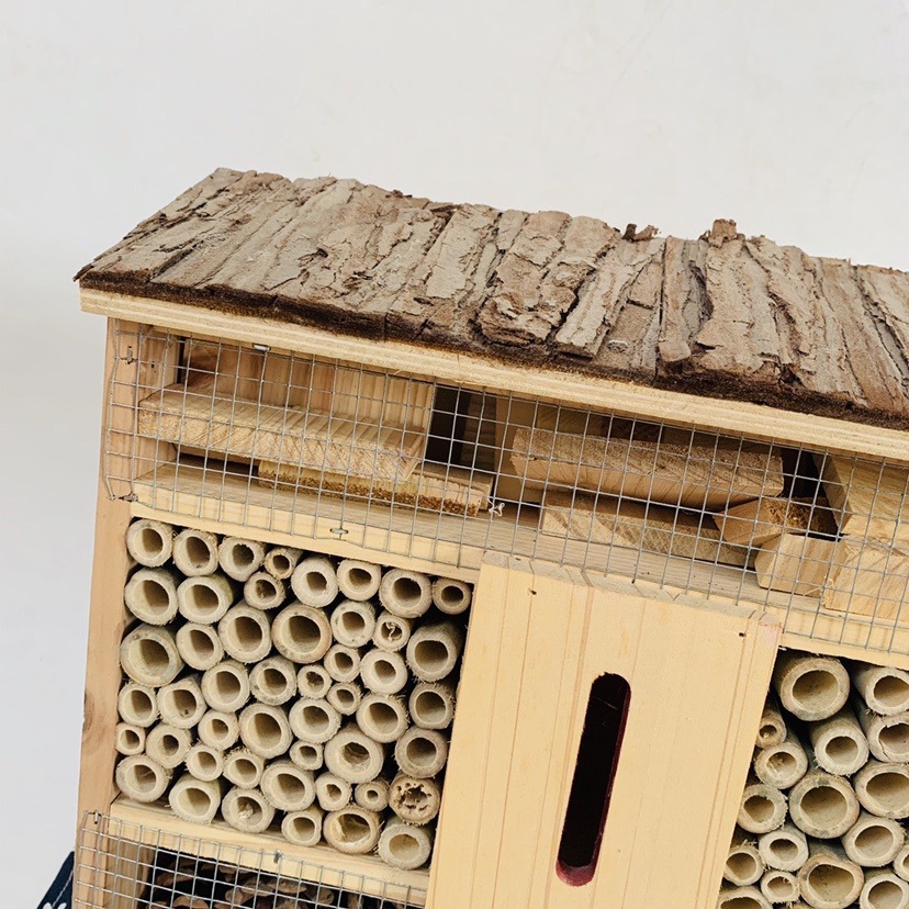 仿真昆虫实物图