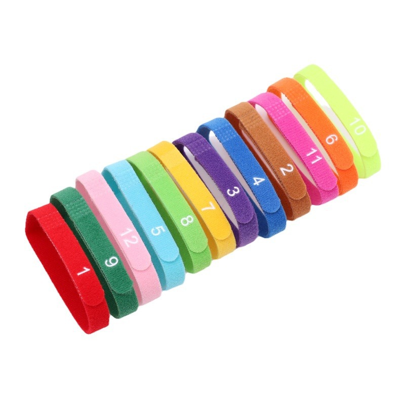 import白底实物图