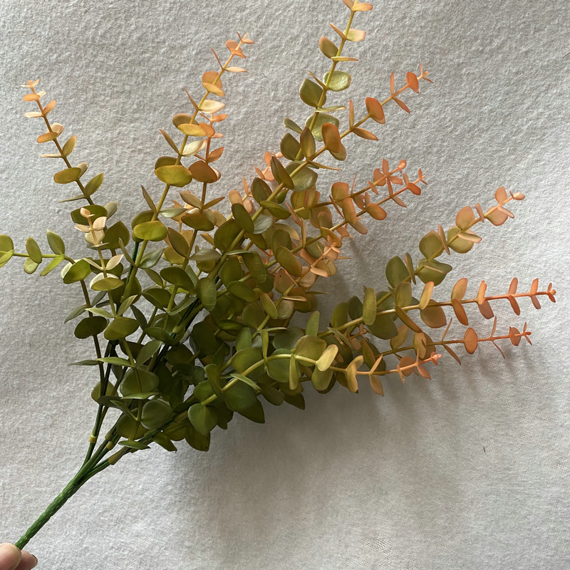 仿真植物实物图