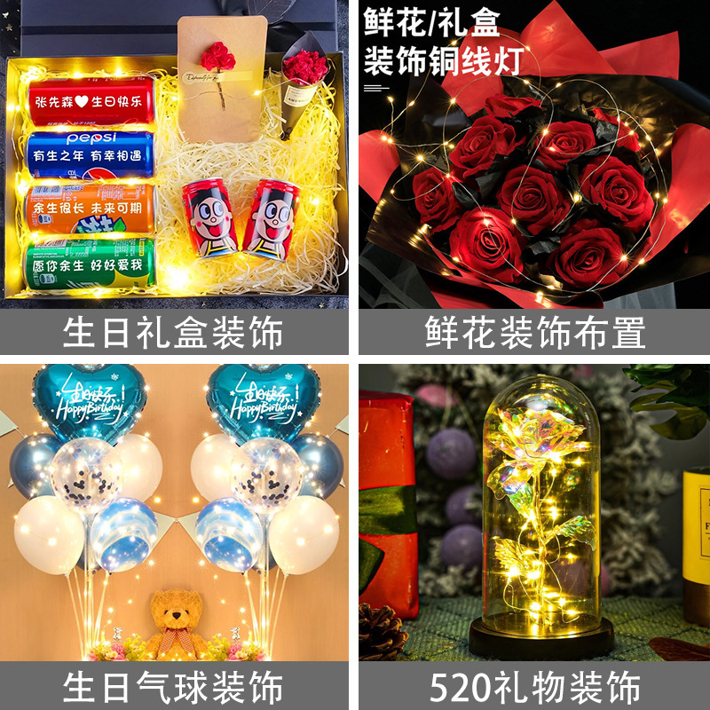 室内LED灯串实物图