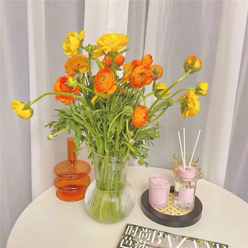Nordic Style Transparent Vase Table Ins Feng Shui Raise Flowers Glass Vase Living Room Decoration Net Red Decoration Application Scenario