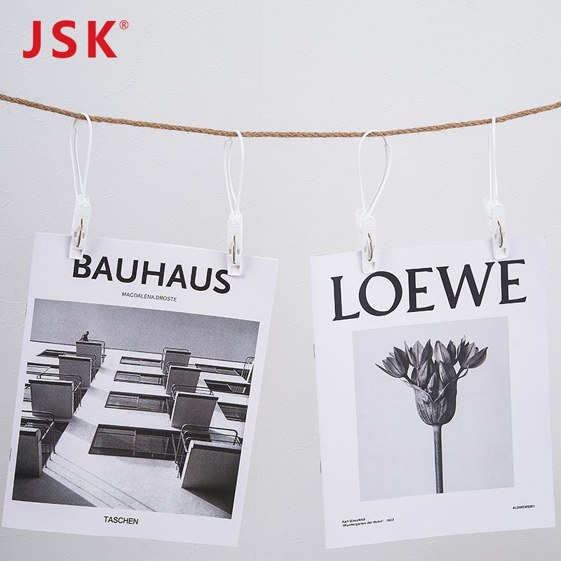 日本JSK/15个装旅游细节图