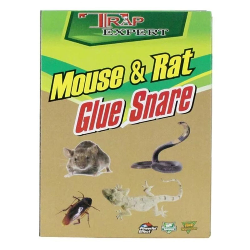 TRAP 外贸四只动物粘鼠板 粘鼠贴 粘鼠胶 老鼠板 老鼠贴 老鼠