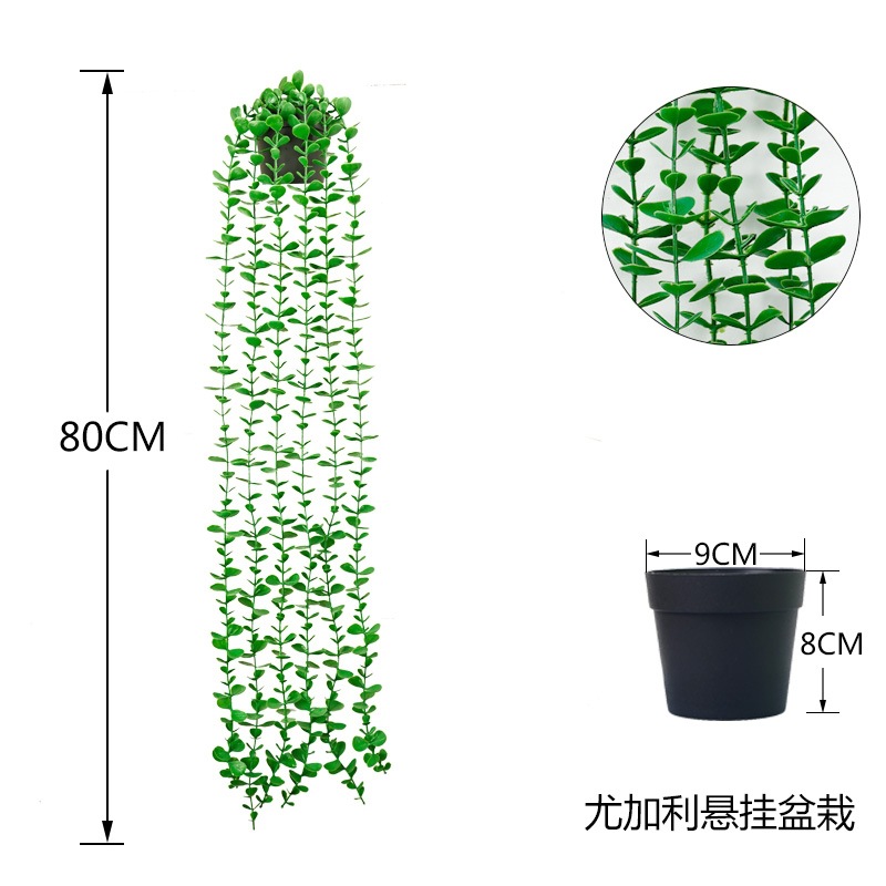 仿真植物实物图