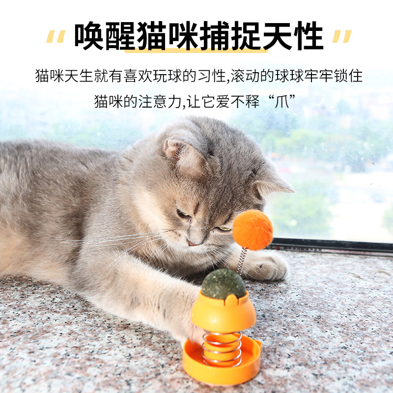 Pet cat toy spring Money cat Licking Happy Cat mint ball teeth grinding and cleaning fun and boring catnip ball Specification image