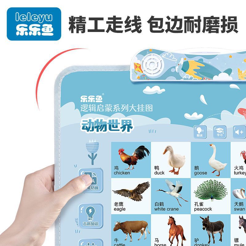 有声挂图实物图