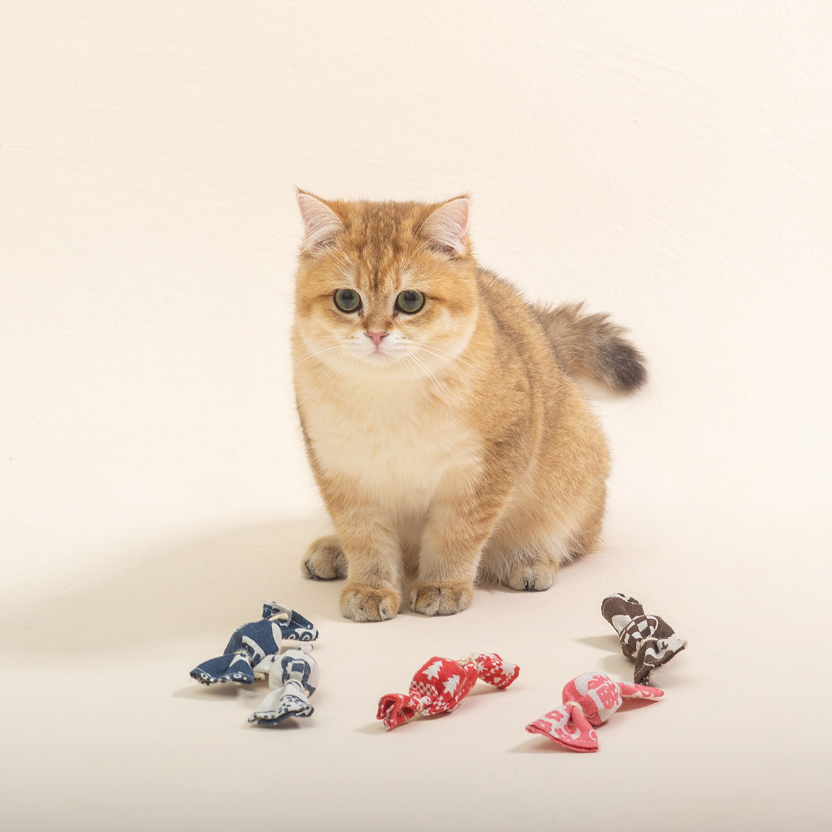 新款猫玩具 精美糖果内含铃铛猫薄荷  猫猫啃咬互动玩具宠物用品