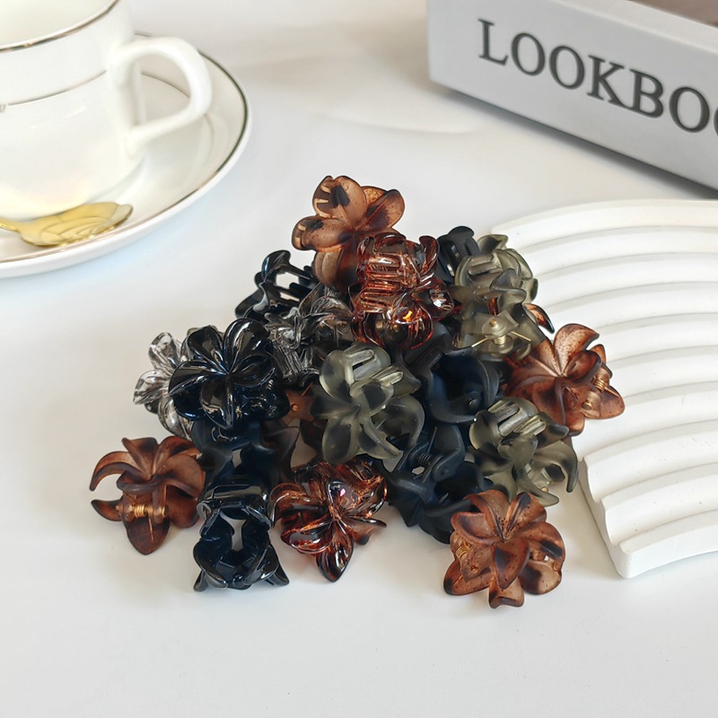 Cross-border foreign trade leopard-print small hair clips, amber hair claws, tortoiseshell style hair clips, top clips, half-tied bangs clips, small hair clips Application Scenario