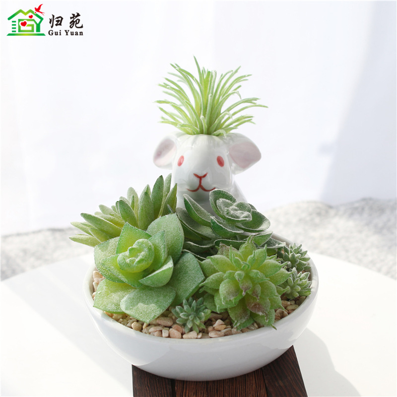 Factory direct sales of new succulent plants, rabbits, ceramic potted plants, home decoration ornaments, artificial flowers and green plants wholesale details Picture