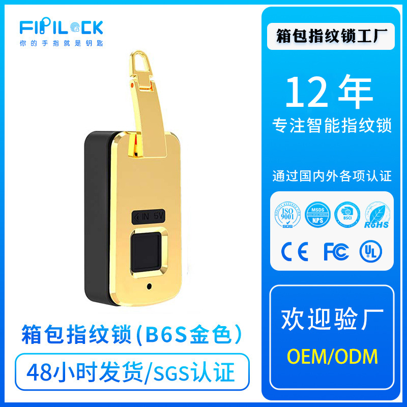Embedded Smart and Chargeable Fingerprint Lock for  Handbag