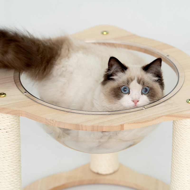 Acrílico transparente cápsula triangular gatillo de gato simple kraft cat scratchpost madera de roble cama de gato de madera sólida gatillo pequeño