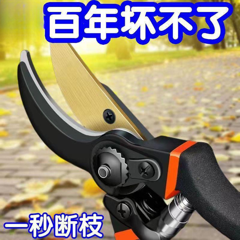 德国进口园林剪果树枝条剪家用强力粗枝剪省力滑轮修枝剪树枝神器