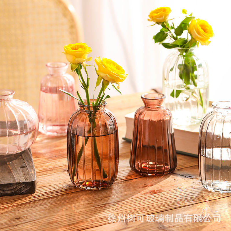 Japanese-style mini small vase, transparent glass vase, water care vase, table decoration, handicrafts, ornaments, flower vases details Picture