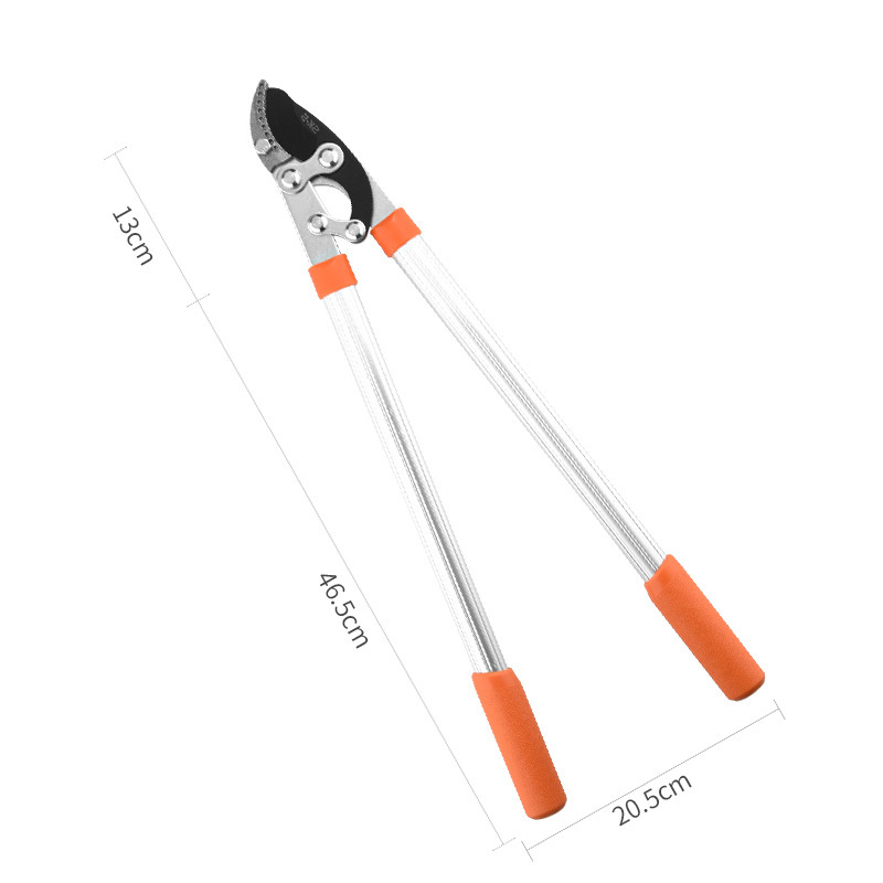 Pruning scissors for branches Application Scenario