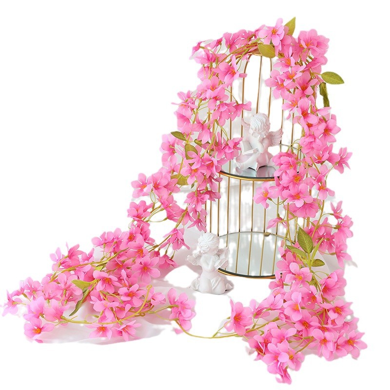 import白底实物图