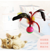 Feather tumbler cat toys amuse cats Interactive entertainment Cat toys Pet toy cat scratching ball