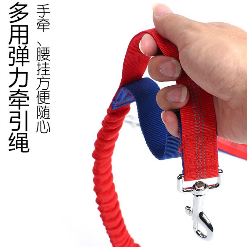 Cuerda de tracción para mascotas cuerda de correr para perros correa de tracción para caminar para perros descarga a prueba de explosiones cuerda elástica de nylon para mascotas Specification image