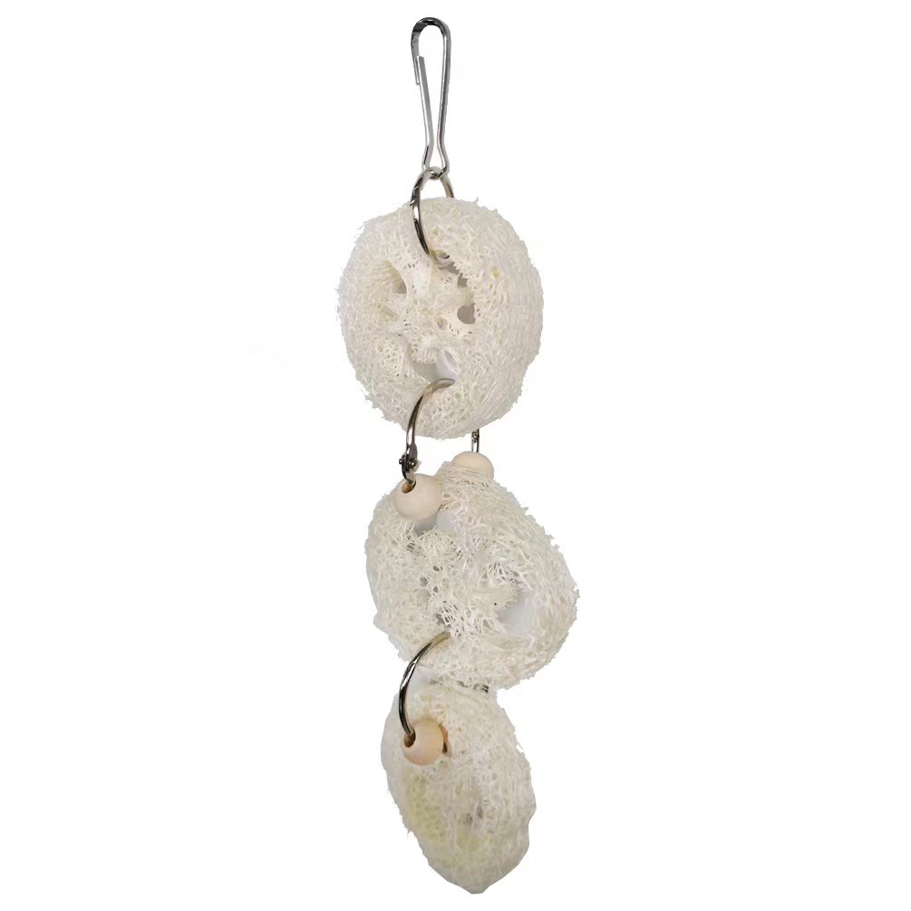 Parrot pájaro juguetes set roer swing jaula de pájaro accesorios suministros utensilios madera original color amazon burst modelos en stock Specification image