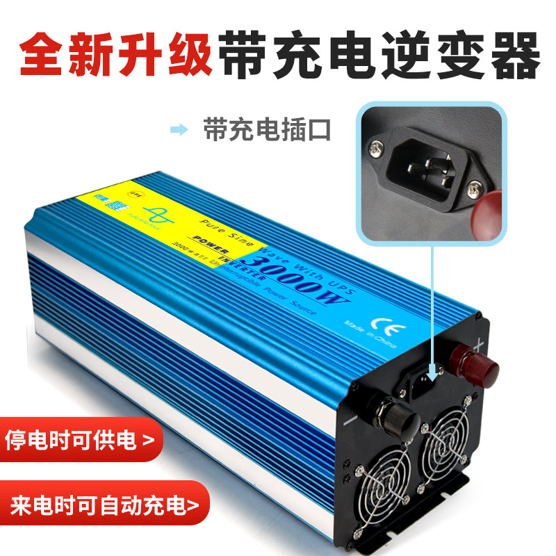 Onda senoidal pura 3000W 12V/24V UPS inversor de carga inversor todo en uno solar pv inversor details Picture