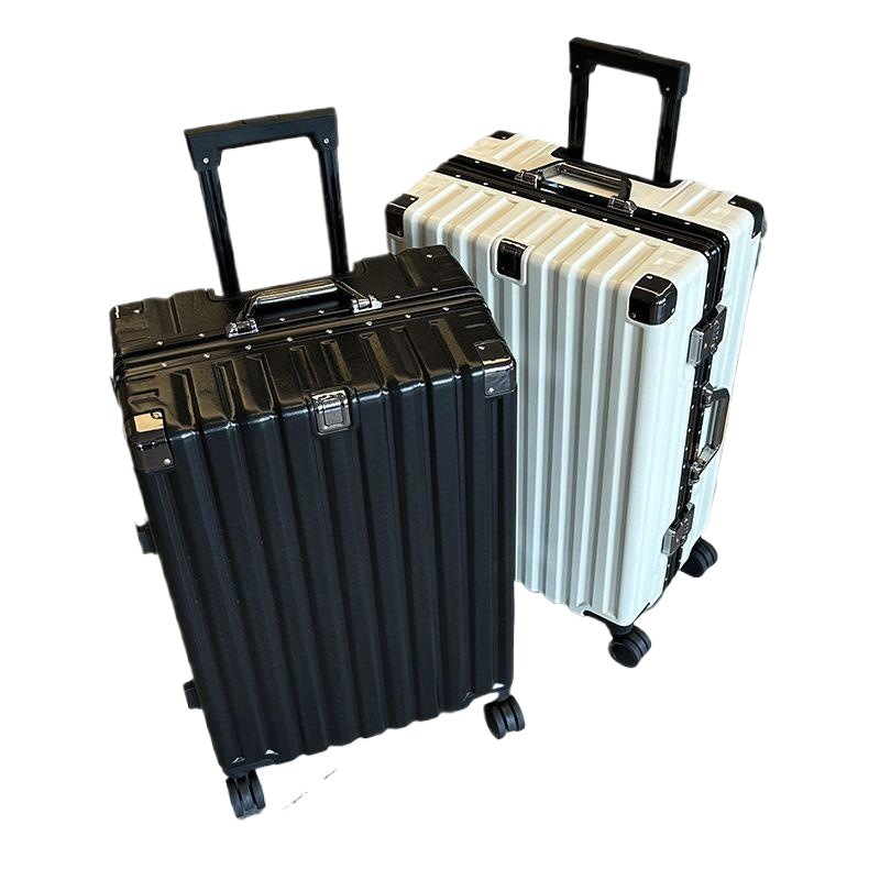 import白底实物图