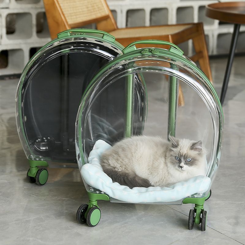 import产品图