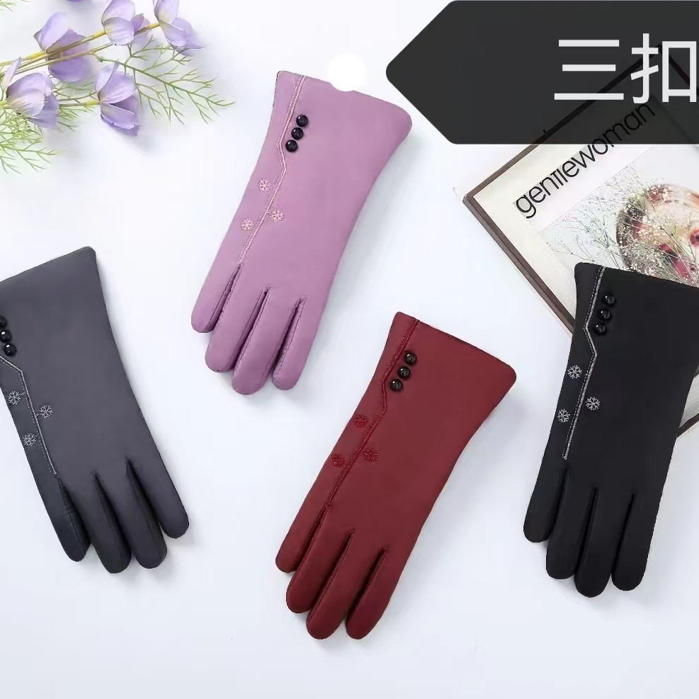 Wholesale of new cross-border women's warm gloves, outdoor skiing, motorcycle and electric bike riding gloves with fleece and thickening
