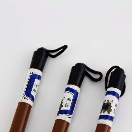 Wholesale of writing brushes, primary school students' wolf-hair brushes for beginners, large, medium and small traditional Chinese painting brushes Application Scenario
