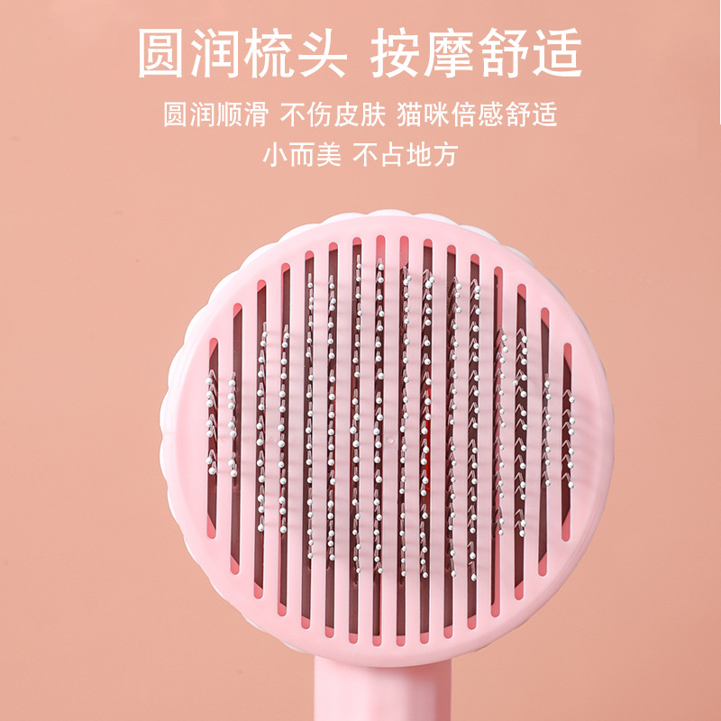 其他小宠用品实物图