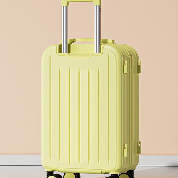 import白底实物图