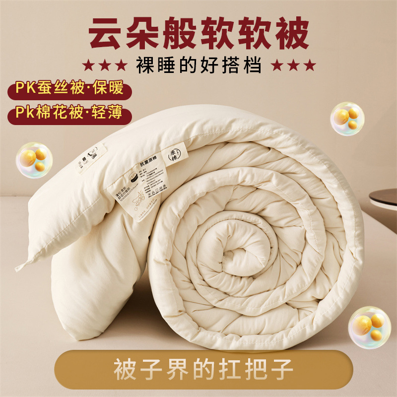 厂家直销大豆被子被芯批发秋冬夏凉被褥公司礼品冬被大豆纤维棉被
