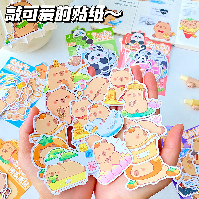 文具贴纸实物图