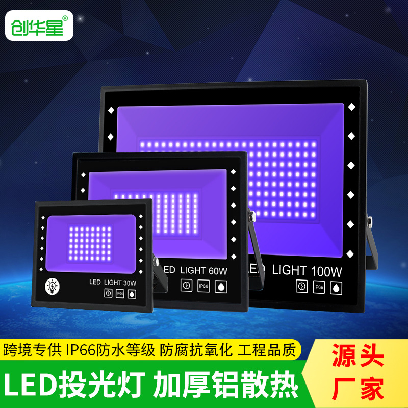 LED投光灯 30W/60W/100W防水户外灯紫光投光灯泛光灯厂家直销图