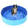 宠物水池狗狗游泳池猫咪沙盘洗澡盆可折叠水池泡菜池图