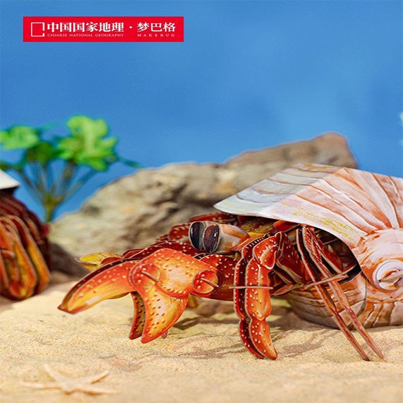 拼图/七巧板拼图/拼板/科学材料/芭蕾主题拼图产品图