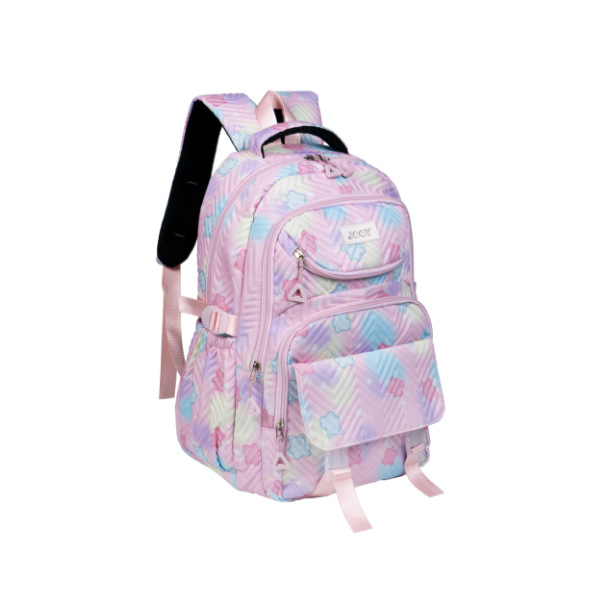Ultrasonic Printed High School Student Middle School Student Backpack Male College Student Casual Backpack Female Large Capacity Backpack Application Scenario