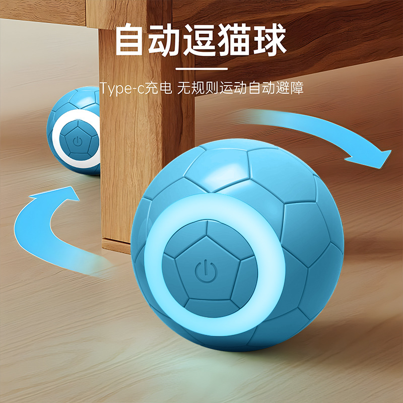 跨境批发宠物细节图