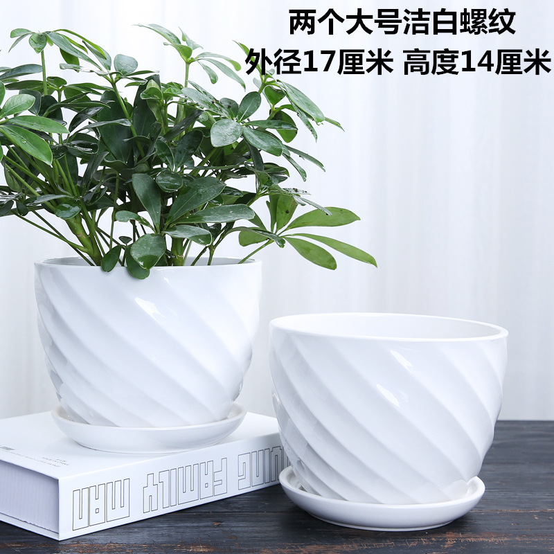 Net Red Flower Pot Ceramic Large Medium Size Home Green Plant Green Plant White Phalaenopsis Wholesale Application Scenario