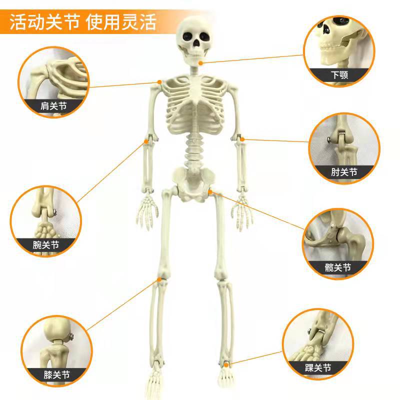 万圣节/万圣节假手/脸彩/万圣节道具/整蛊细节图