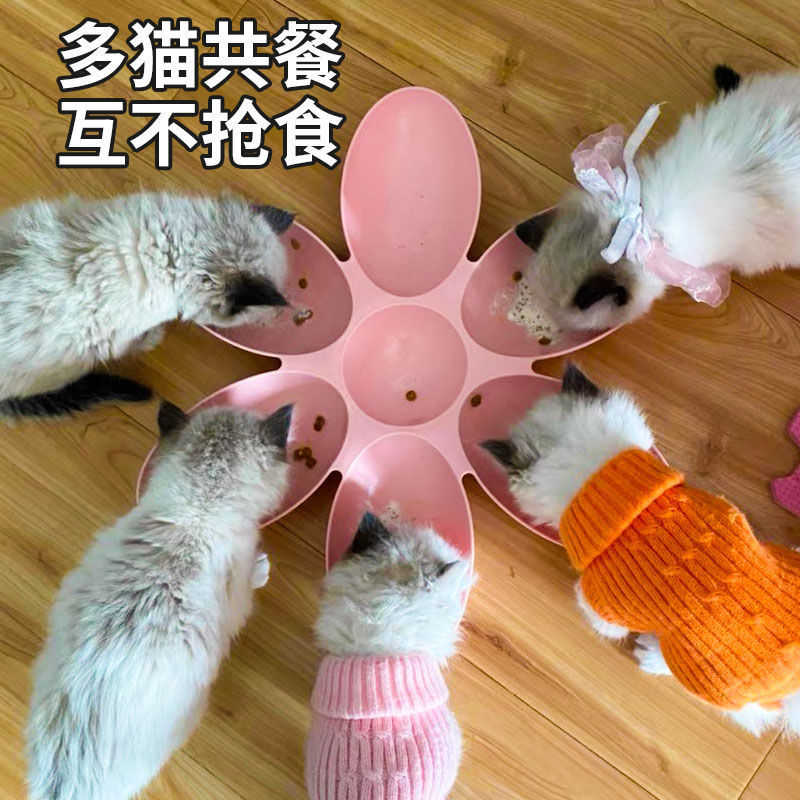 猫碗幼猫专用流浪猫喂食花瓣碗分食狗碗小猫咪碗奶猫饭碗多猫食盆