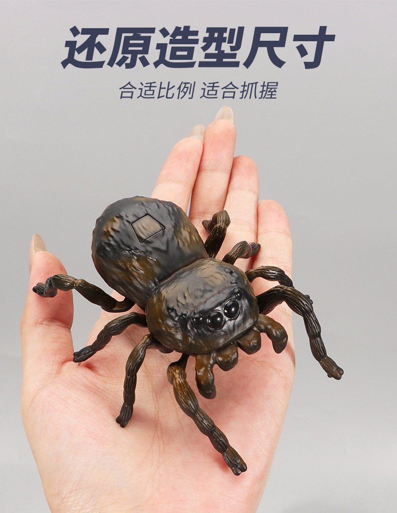 发条昆虫儿童爬行知了玩具模型蝉仿真金龟子上链条甲壳虫七星瓢虫详情3