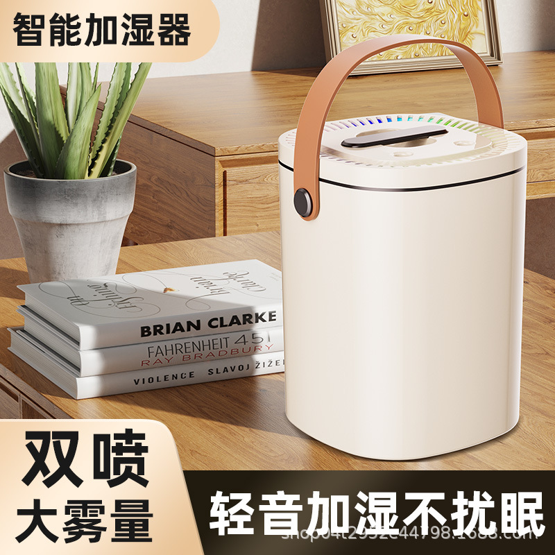 Usb Air Humidifier Home Bedroom Small Pregnant Baby Dormitory Student Office Desktop Double Head Spray details Picture